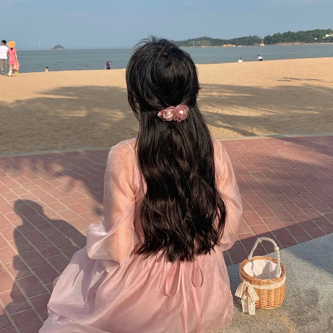 杜宾专员 - 布列塔尼的秘密